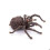 Papo - Arachnos-figuuri 2