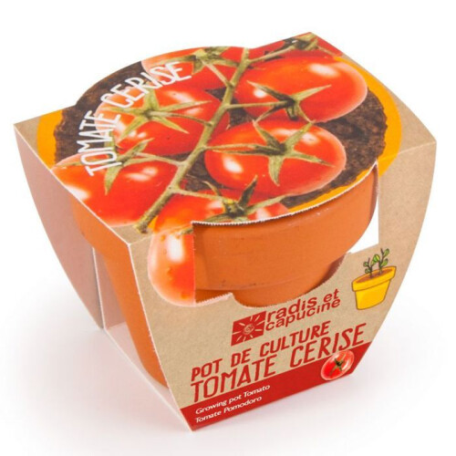 Kersentomaatzaadjes in terracotta kweekpot 0,000000 Mini Kweekpot 2