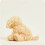 Soframar Perro Boucle Cozy Peluche 4