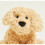 Soframar Perro Boucle Cozy Peluche 5