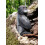Wudimals - Puuisäiliö Gorilla - K-PLAY 2
