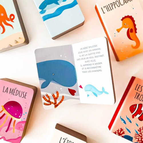 Sassi Junior | Lote de 8 libros - Mi pequeña biblioteca El mar - Multicolor - 22 x 18 cm 2