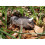 Wudimals - Figur Gnu - K-PLAY 3