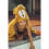 Trixie Trixie - Bathrobe 70x130cm - Mr Lion 1