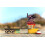 Candylab Toys - Lone Cactus Motel 2 - DAM 5