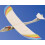 Aero-nauta - Planeador Bird 3