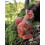 Wudimals - Figur Eichhörnchen - K-PLAY 2