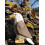 Wudimals - Figur Aigle - K-PLAY 2