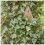 Esschert Design - Nido Camouflage 5