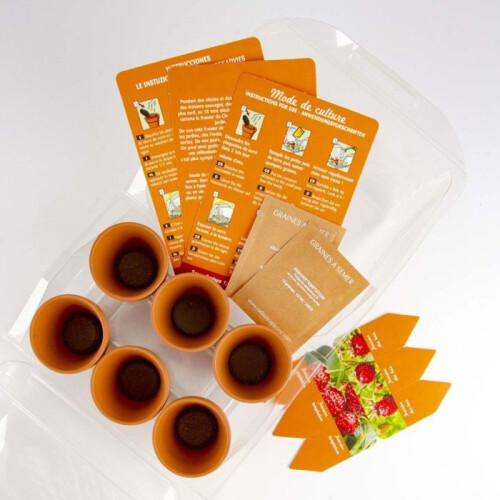 Mini-estufa - RADIS ET CAPUCINE - 6 vasos - Kit completo ecologicamente responsável - Para interior e varanda 1