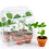 Mini-estufa - RADIS ET CAPUCINE - 6 vasos - Kit completo ecologicamente responsável - Para interior e varanda 3