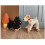 Egmont Toys - Eliot de trekdier 3