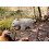 Wudimals - Figur Wombat - K-PLAY 2