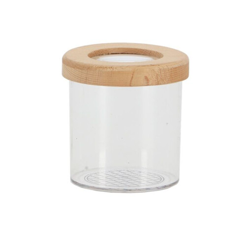 Boîte Observation Insecte Exterieur 7 cm 1
