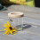 Boîte Observation Insecte Exterieur 7 cm 4