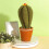 Christmas Cactus Ornament Cloth25-45cm 8