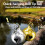Cloches de canne à pêche, paquet de 20, conception à Clip-argent 3