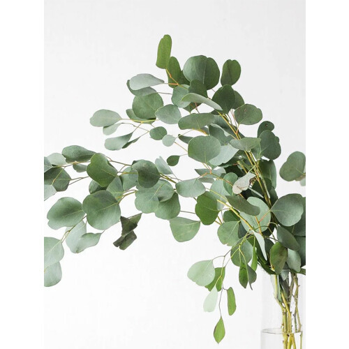 50pcs Artificial Eucalyptus Leaves7cm Silk & Plastic 2