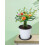 Adjustable Plant Cage with Metal Mesh120x220cm 4