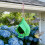 Hanging Bird Feeder 3D Printed Large Capacity Easy To-Green 5