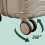 2-Piece Hard-Shell Luggage Set with TSA Lock 7