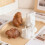 Silicone Easters Rabbits Mould For Home Candle And Craft-5395 5