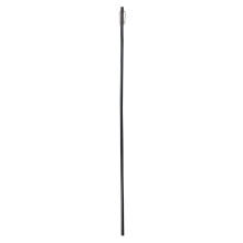 Cane