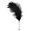 Feather Tickler 1
