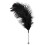 Feather Tickler 2