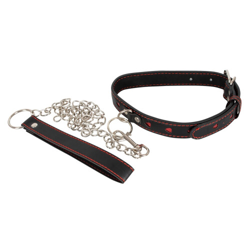 Collar and Leash 1