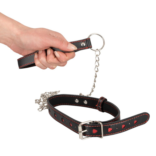 Collar and Leash 2
