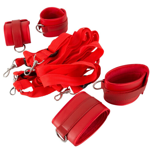 Bed Restraint Set 1