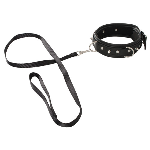 Collar and Leash 1