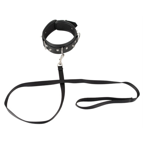 Collar and Leash 2