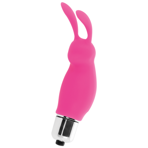 INTENSE - RABBIT ROGER ROSA 1