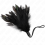 KINK - TICKLE FEATHERS WITH ROPE HANDLE PLASTIC BASE 15 CM 1