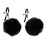 Nipple Clamps 1