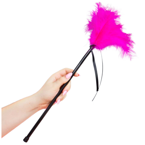 SECRETPLAY - PINK FEATHERS 40 CM 2