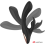 ANNE'S DESIRE  - RABBIT REMOTE CONTROL TECHNOLOG A WATCHME BLACK 2