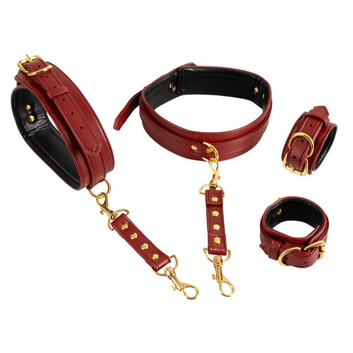 Hand/Leg Restraints 2