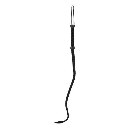 Leather Whip 2