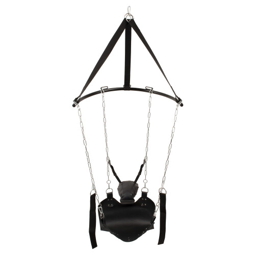 Sex Swing 1