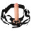 Dildo with harness 3