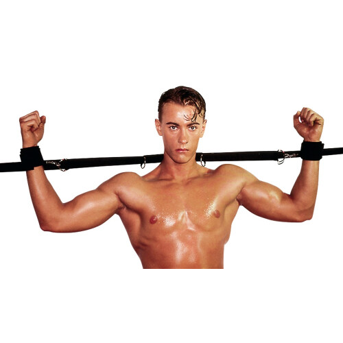 Bed Restraints 2