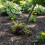 Ancinho de jardim com cabo e 4 dentes em espiral 2