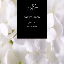 Raumduft-Diffusor 100ml Glas - Langanhaltender Duft