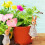 Tierfigur aus Kunstharz, Blumentopf-Ornament, Frosch oder Kaninchen 6