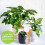 Tierfigur aus Kunstharz, Blumentopf-Ornament, Frosch oder Kaninchen 7