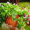 Tierfigur aus Kunstharz, Blumentopf-Ornament, Frosch oder Kaninchen 8