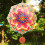 Stainless Steel3D Mandala Wind Spinner, 294mm 4